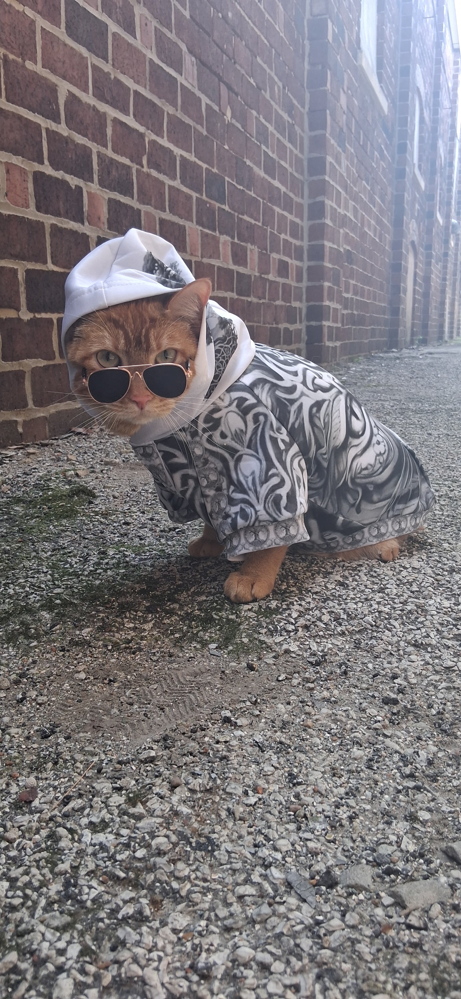 Stand out  with the  Nordic Kitty Pet Pullover Hoodie  available at Hey Nugget. Grab yours today!